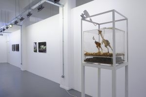 05-BACK-TO-BASICS-UNCANNY-II-6