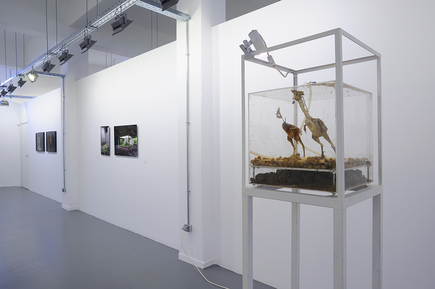 05-BACK-TO-BASICS-UNCANNY-II-6