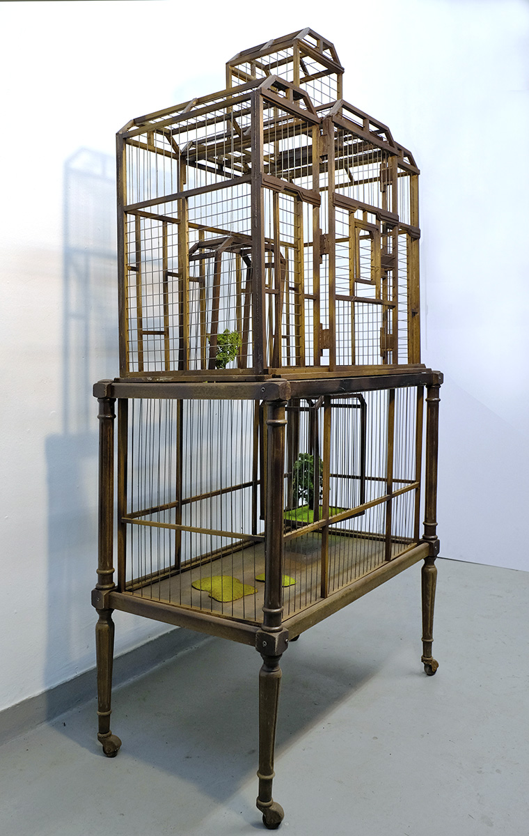 1-WHICH-SIDE-ARE-YOU-ON-2019_10