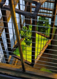 1-WHICH-SIDE-ARE-YOU-ON-2019_11