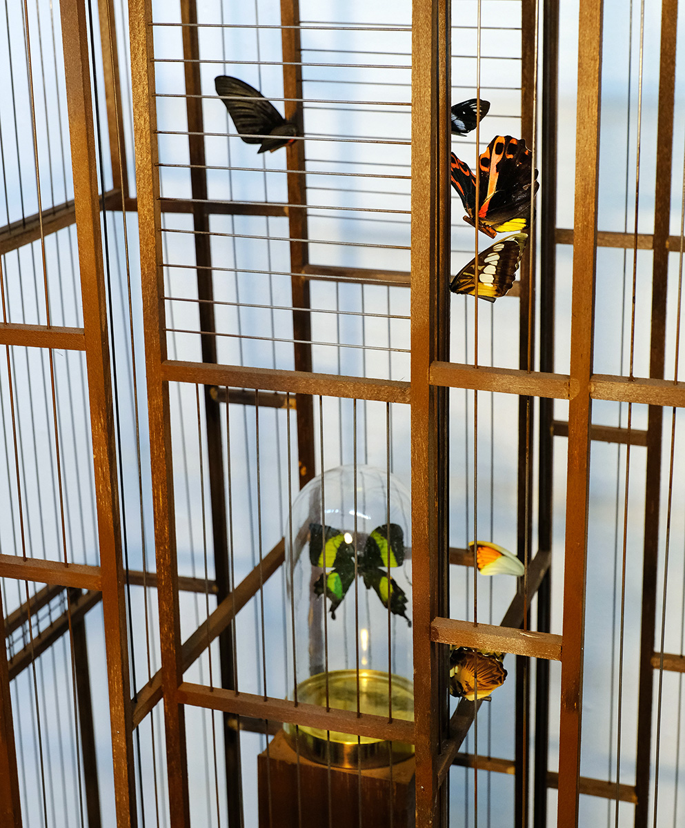 1-WHICH-SIDE-ARE-YOU-ON-2019_8