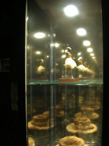 11-UTOPIA-YOU-WERE-ALWAYS-ON-MY-MIND-11