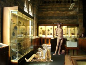 13-RE-VIEW-SERIES_2008-19_13