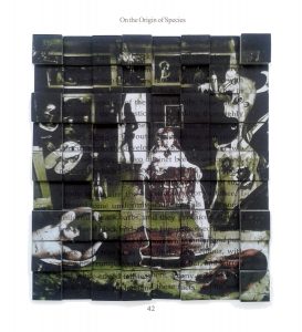 5-ON-THE-ORIGIN-OF-ART-2011_17