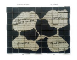 5-ON-THE-ORIGIN-OF-ART-2011_24