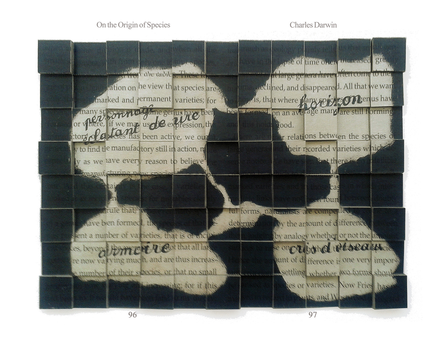 5-ON-THE-ORIGIN-OF-ART-2011_24