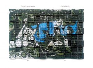 5-ON-THE-ORIGIN-OF-ART-2011_26